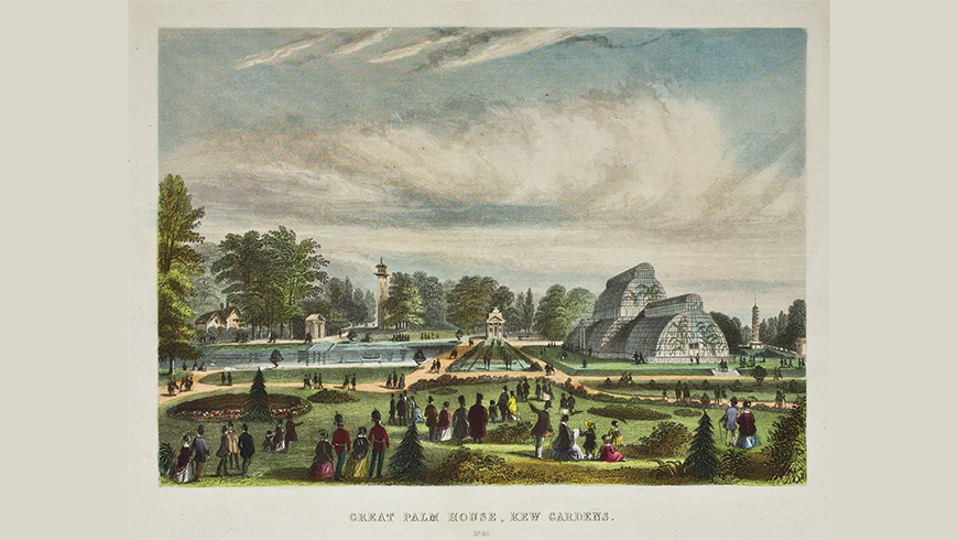 La Great Palm House nei giardini botanici Kew Gardens di Londra