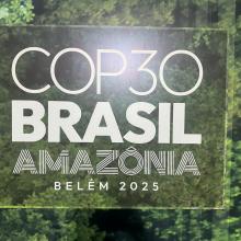 UPO a COP30 BRASIL